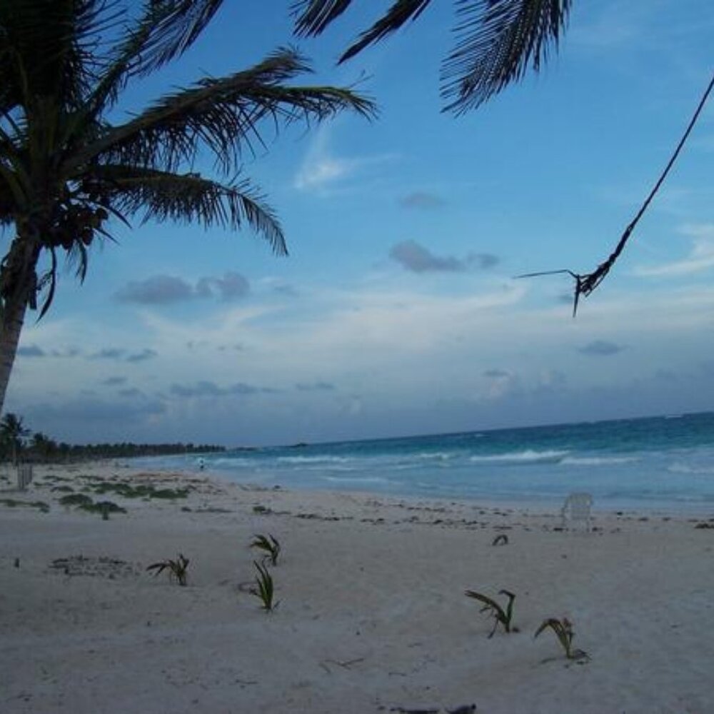 Meet your Posher, Zuziezu